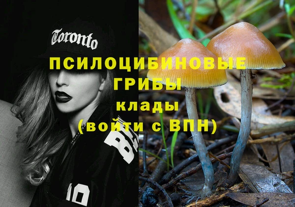 ешки Аркадак