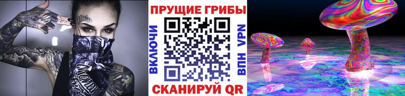 купить закладку  Тырныауз  мега зеркало  Псилоцибиновые грибы Cubensis 