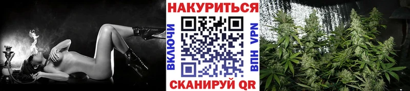 Бошки Шишки White Widow  Тырныауз 